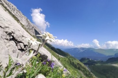 Abenteuer in den Alpen (April - Sept. 22) - Bild3